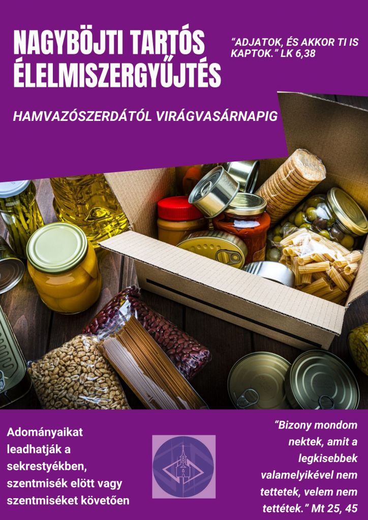 Green Bold Dynamic Biodegradable vs Non-biodegradable Activity Worksheet