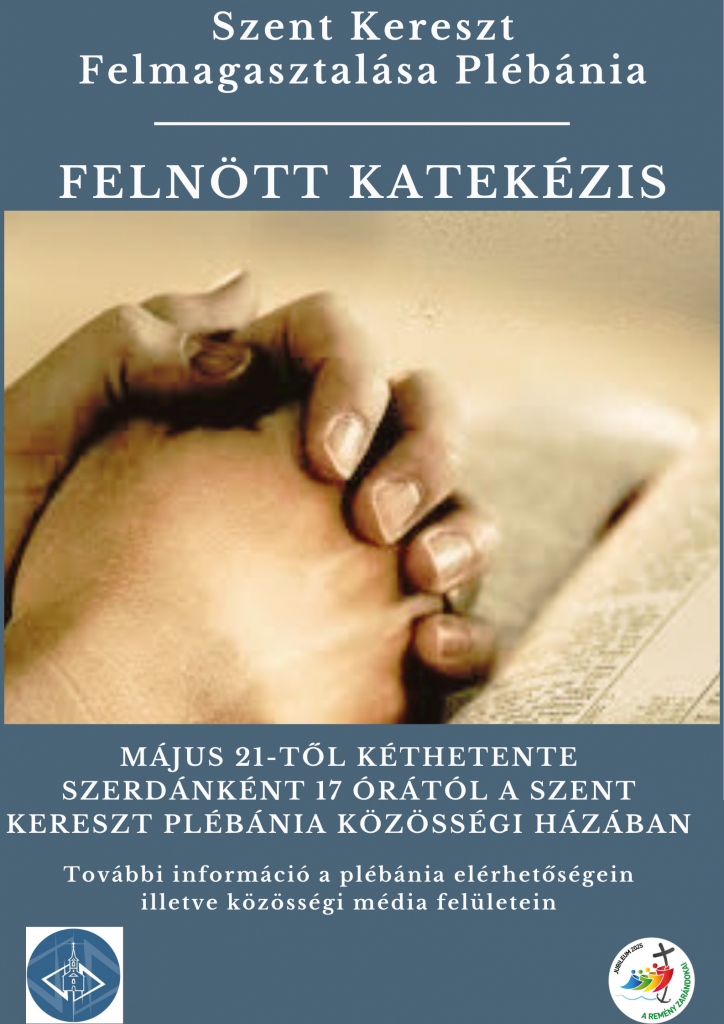 Városi öböl kitisztítása (1)